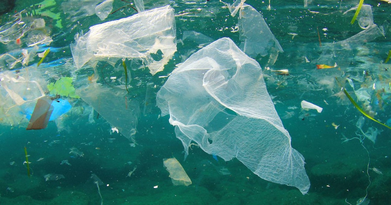 Abu Dhabi's No Plastic Policy